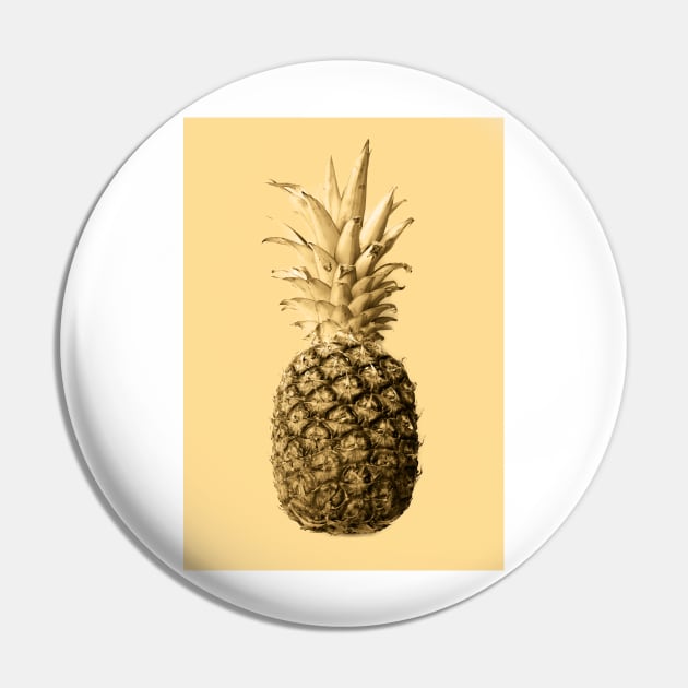 Pineapple 03 Pin by froileinjuno