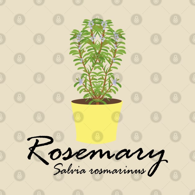 Rosemary by Brunaesmanhott0