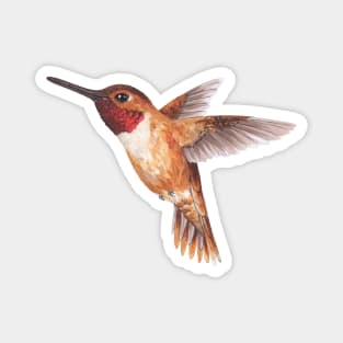Hummingbird Magnet