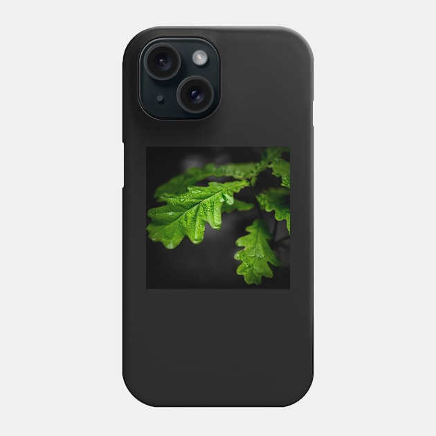 Raindrops On Oak Leaves Phone Case by axp7884