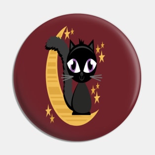 RAMADAN CATS Pin