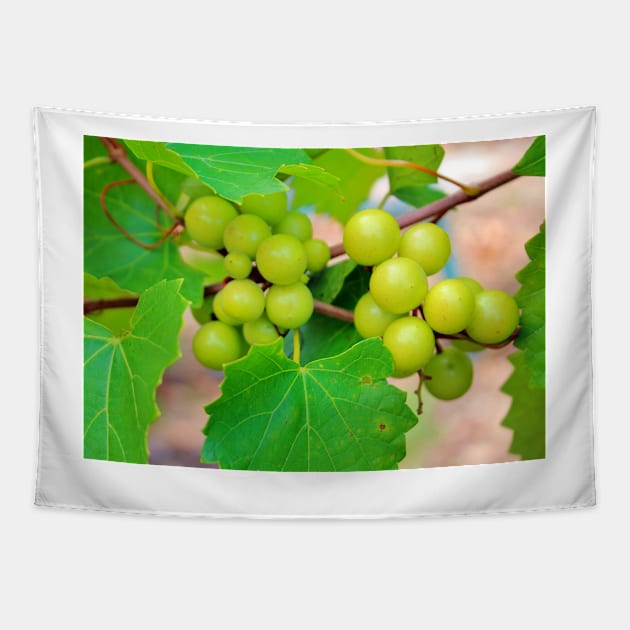 Grapes Tapestry by Cynthia48