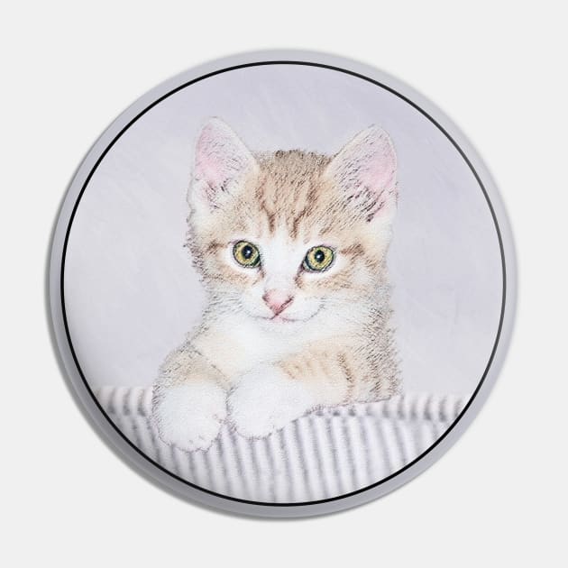 Orange Tabby Kitten Pin by Alpen Designs