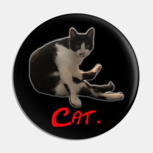 Cat Pin