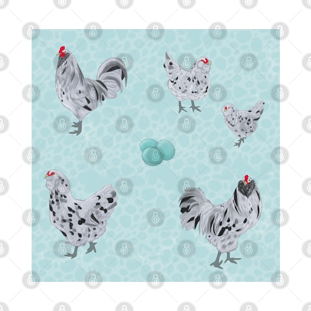 Splash Ameraucana Pattern Blue by TrapperWeasel