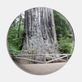 Redwoods California Nature Photography Pacific Northwest Pin