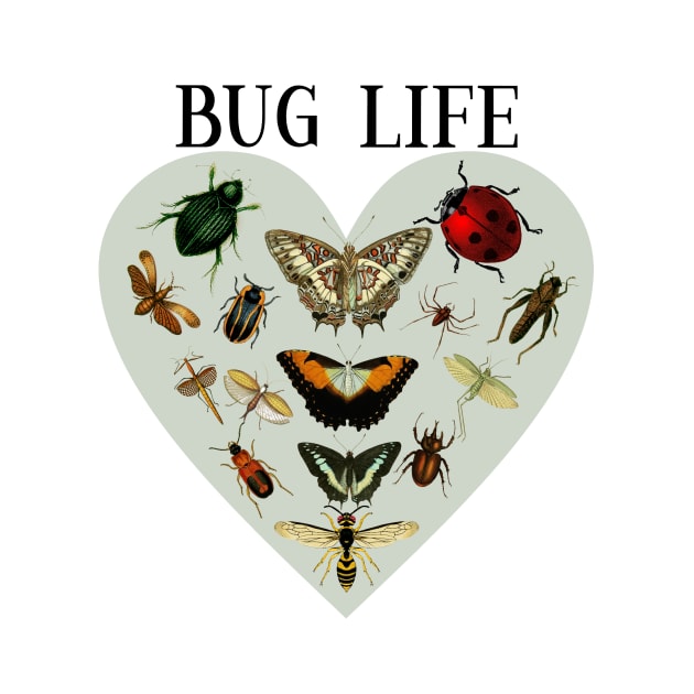 Entomology / Bug Lover /Entomologists / Bug Life by allthumbs