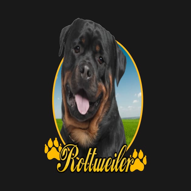 Rottweiler by petermurphy619