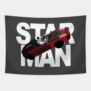 Starman Tapestry