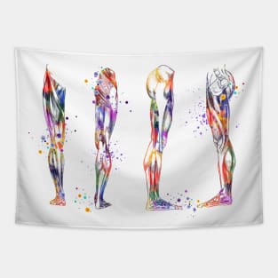 Leg Muscles Anatomy Colorful Watercolor Gift Tapestry