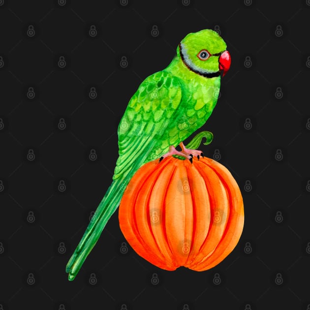 Cute Halloween Ringneck Parrot on Autumn Pumpkin by IvyLilyArt