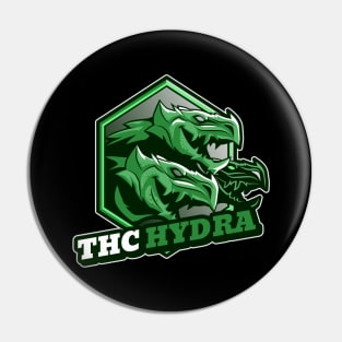 Cyber security - Hacker - THC Hydra - password cracking Pin