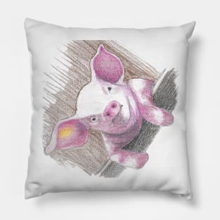 Pig Pillow