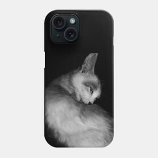 A licking cat in black and white Phone Case