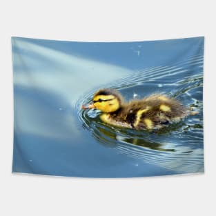 Mallard duckling Tapestry