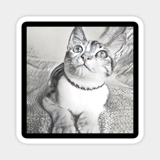 THE ADORABLE LOOK CAT PORTRAIT Magnet