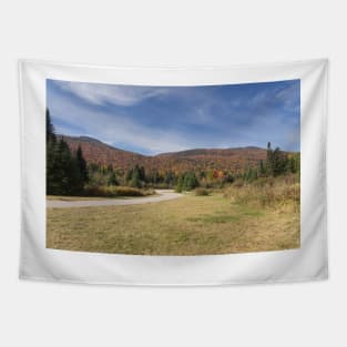 Fall colours with lake in Canada Tapestry