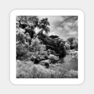 Mallard Lake, Golden Gate Park, San Francisco Magnet