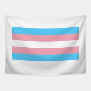 Transgender Flag Tapestry