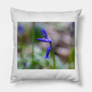 Bluebell - woodland flower Pillow