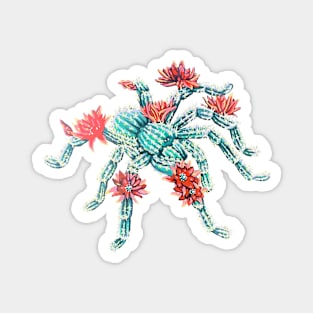 Peanut Cactus Tarantula Magnet
