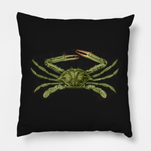 Green Swimming Crab Vintage Scientific Drawing Pillow