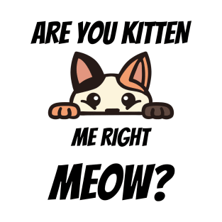 Are You Kitten Me Right Meow T-shirt T-Shirt