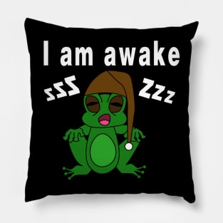 A sleepy frog Pillow