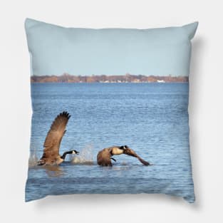 Canada Geese Pair No.1 Pillow