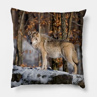 Timber Wolf Pillow