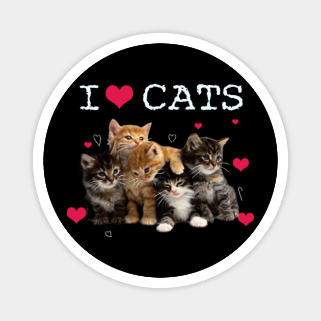 I Love Cats I Love Kittens Cat Lover I Love Cats I Love Kittens