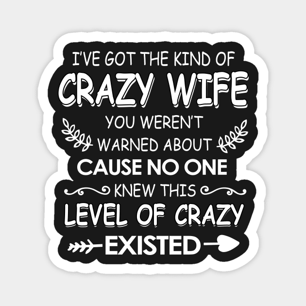 I've got The kind of crazy wife you weren't cause no one knew Magnet by TEEPHILIC