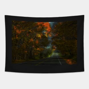 Country road Tapestry