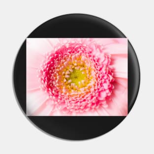 macro pink blossom Pin