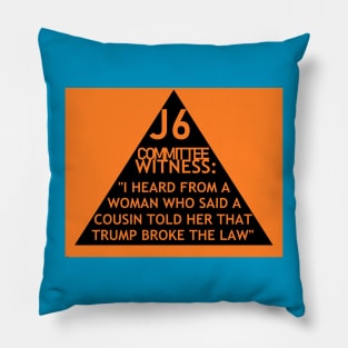 J6 Witless Witness Pillow