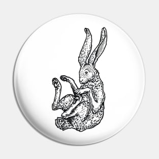 A Levity of Animals: Hare Today, Gone Tomorrow Pin