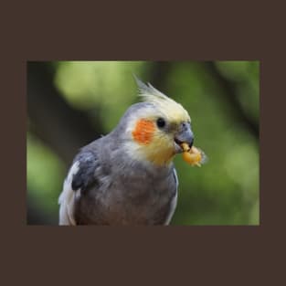 Cockatiel T-Shirt