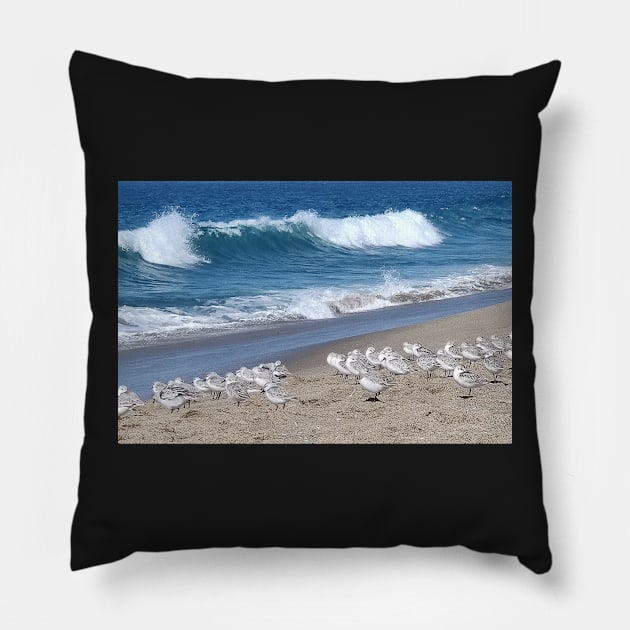 Pacific Ocean and Sanderlings Pillow by mariola5