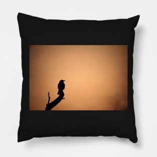 Bird at Sunset Pillow