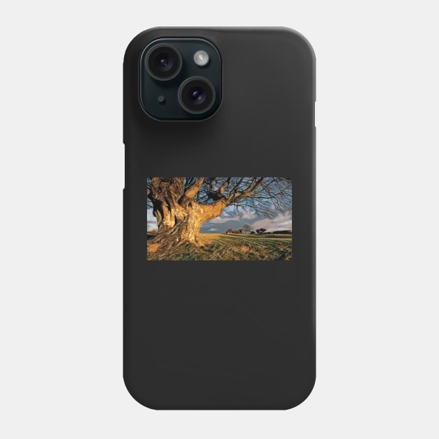 Wood and Stone#2 Phone Case by RJDowns