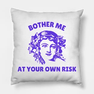 Bother Me At Your Own Risk Pillow