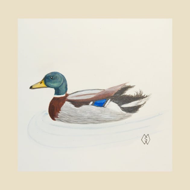 Mallard duck drake by Matt Starr Fine Art