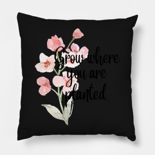 Grow where you are planted. Pillow