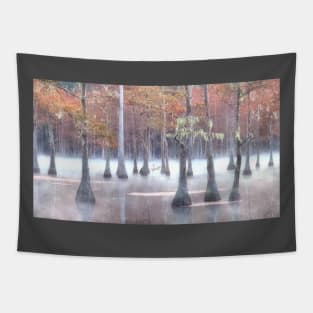 Cypress swamp in Foggy morning Tapestry