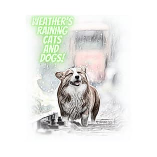 Weather Raining Cats and Dogs T-Shirt