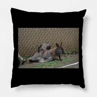 Wallaby and Joey Pillow