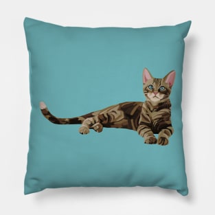 Cute Brown Tabby Kitten Pillow