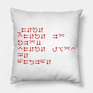 WHERE THERE IS RISK THERE MUST BE CHOICE (symbol) Pillow