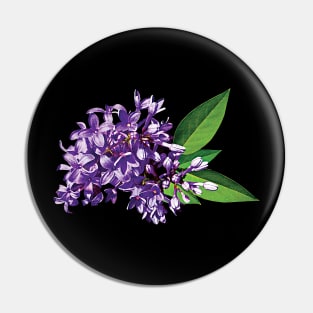 Lilacs - Cluster of Purple Lilacs Pin