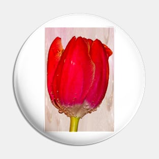 Tulip Bubbles Pin